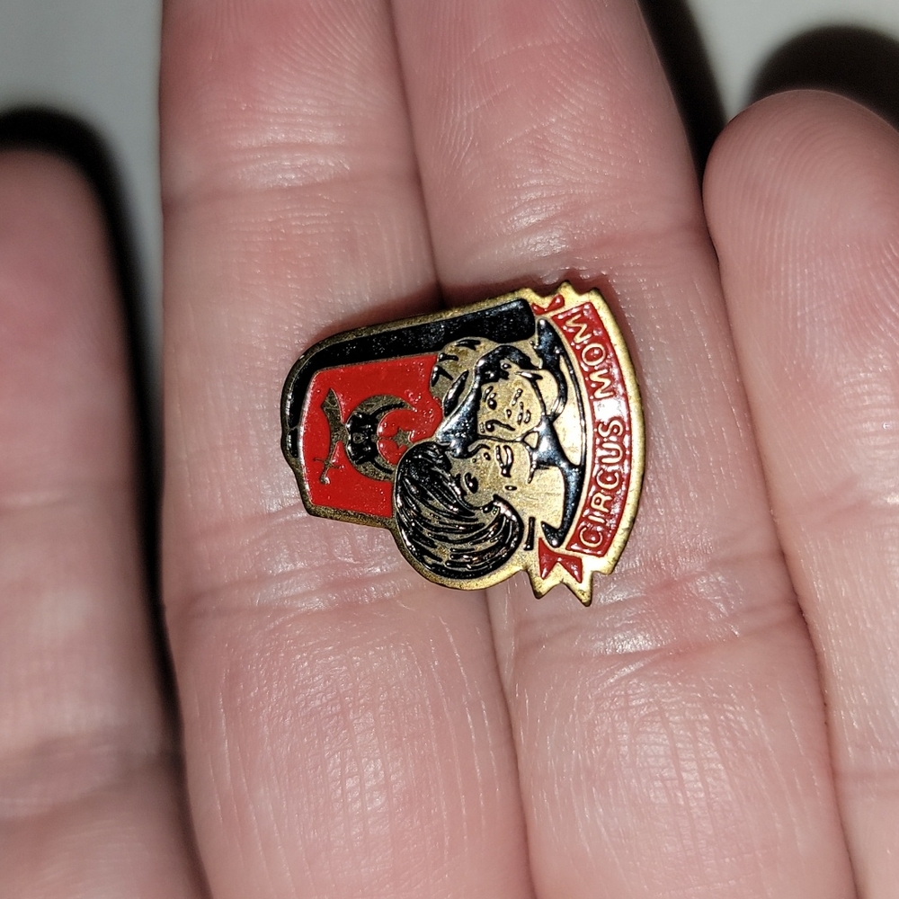 Pin - Picture 3 of 3